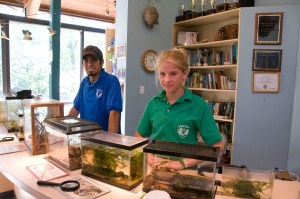 Volunteers enjoy the dynamic environment at Hidden Pond Nature Center.