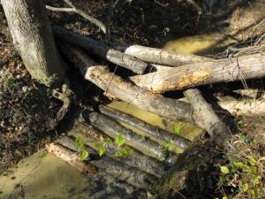 Fallen logs are used to create a stream blockage to slow the flow of water and prevent stream bank erosion.