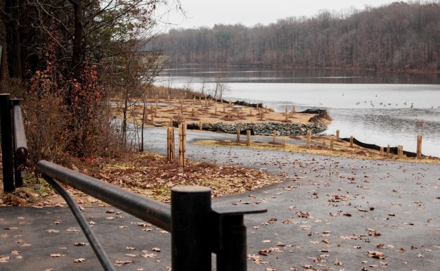 Biodegradable coir logs have been placed around the shoreline to prevent erosion.
