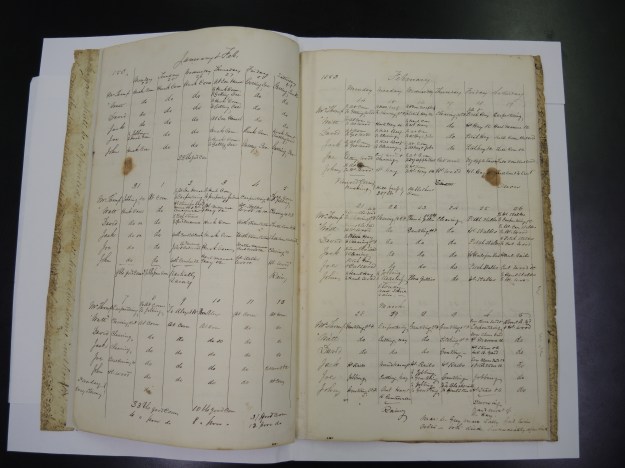 The Walney workbooks provide detailed information about the daily operations of the Machen farm from 1849 to 1854. 