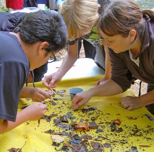 Meaningful Watershed Education Experience