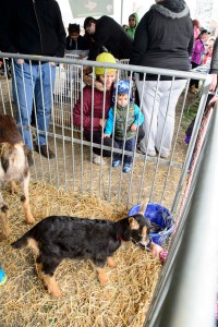 Spring Fest_042515_0265