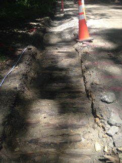 LAP corduroy road 6.9.2016c