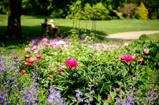 Green Spring_190510_0058