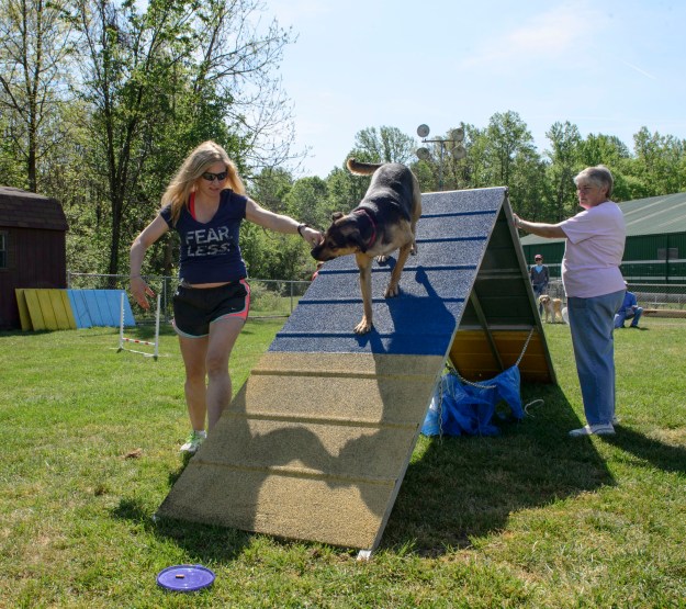 Dog Agility_042516_0090