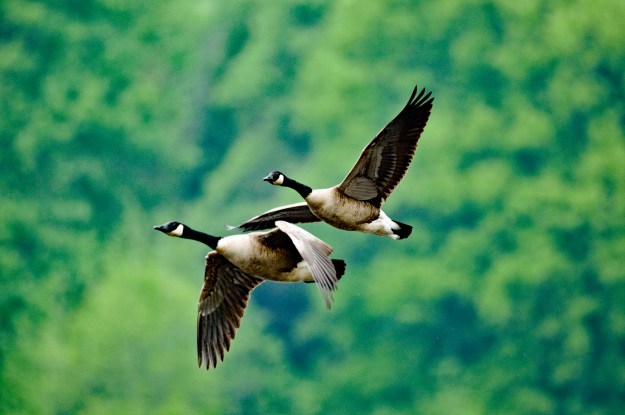 Hm 500mm_0088 (002)-edit