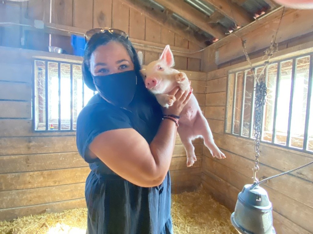 Jai Cole at Frying Pan Farm Park with a piglet